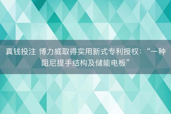 真钱投注 博力威取得实用新式专利授权:“一种阻尼提手结构及储能电板”