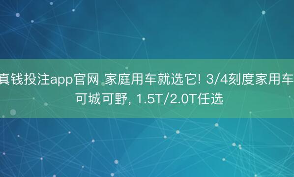 真钱投注app官网 家庭用车就选它! 3/4刻度家用车， 可城可野， 1.5T/2.0T任选