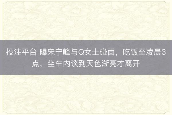 投注平台 曝宋宁峰与Q女士碰面,吃饭至凌晨3点,坐车内谈到天色渐亮才离开