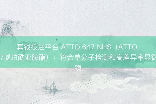 真钱投注平台 ATTO 647 NHS（ATTO 647琥珀酰亚胺酯）：符合单分子检测和高差异率显微镜