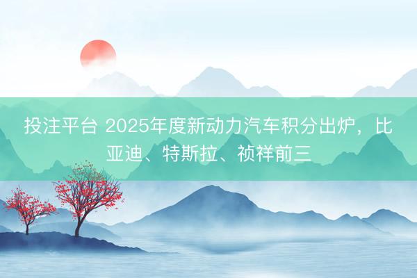 投注平台 2025年度新动力汽车积分出炉，比亚迪、特斯拉、祯祥前三