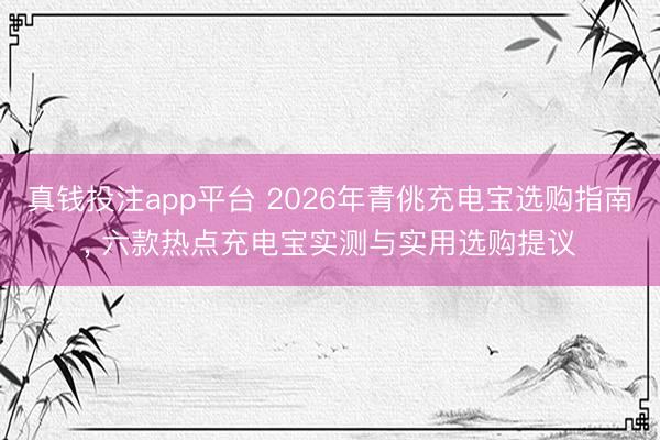 真钱投注app平台 2026年青佻充电宝选购指南, 六款热点充电宝实测与实用选购提议