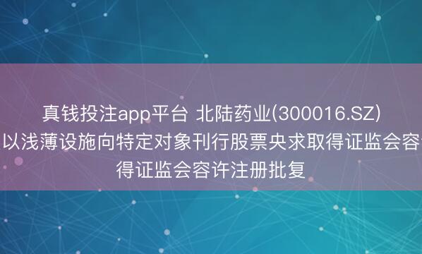 真钱投注app平台 北陆药业(300016.SZ): 2025年度以浅薄设施向特定对象刊行股票央求取得证监会容许注册批复