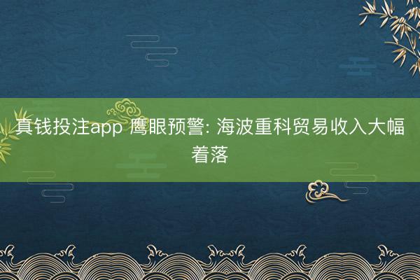 真钱投注app 鹰眼预警: 海波重科贸易收入大幅着落