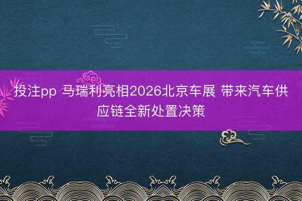 投注pp 马瑞利亮相2026北京车展 带来汽车供应链全新处置决策