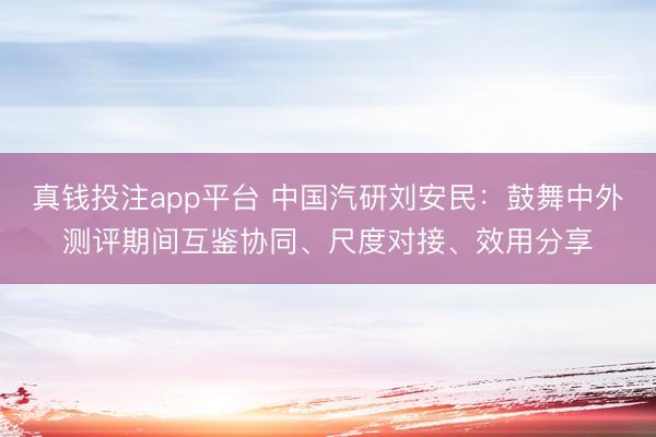 真钱投注app平台 中国汽研刘安民：鼓舞中外测评期间互鉴协同、尺度对接、效用分享