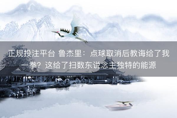 正规投注平台 鲁杰里：点球取消后教诲给了我一拳？这给了扫数东说念主独特的能源