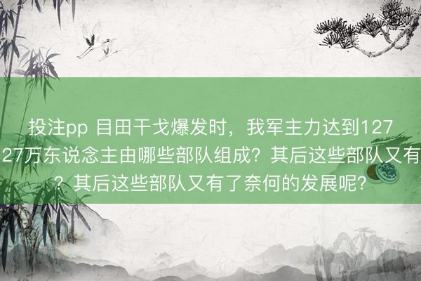 投注pp 目田干戈爆发时，我军主力达到127万东说念主，这127万东说念主由哪些部队组成？其后这些部队又有了奈何的发展呢？