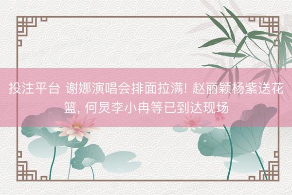 投注平台 谢娜演唱会排面拉满! 赵丽颖杨紫送花篮， 何炅李小冉等已到达现场