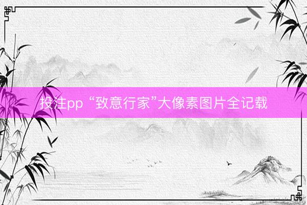 投注pp “致意行家”大像素图片全记载