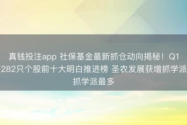 真钱投注app 社保基金最新抓仓动向揭秘！Q1新进282只个股前十大明白推进榜 圣农发展获增抓学派最多