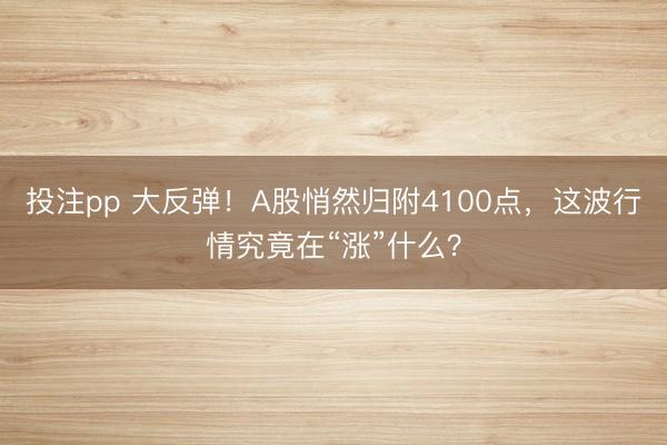 投注pp 大反弹！A股悄然归附4100点，这波行情究竟在“涨”什么？