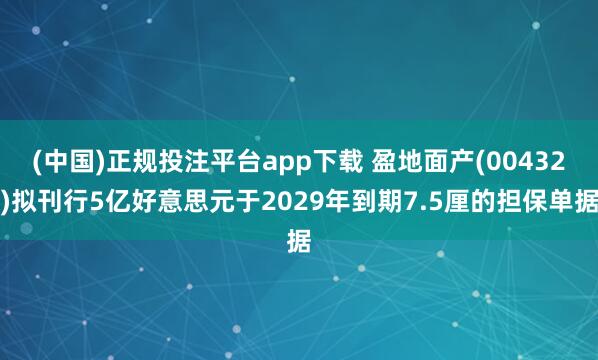 (中国)正规投注平台app下载 盈地面产(00432)拟刊行5亿好意思元于2029年到期7.5厘的担保单据