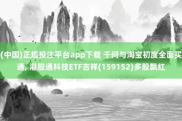 (中国)正规投注平台app下载 千问与淘宝初度全面买通, 港股通科技ETF吉祥(159152)多股飘红