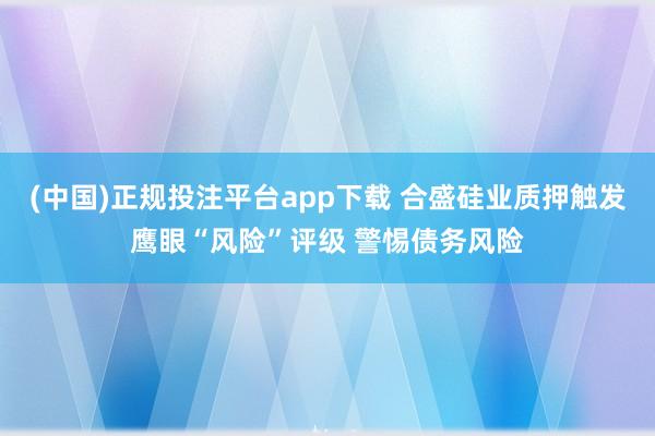 (中国)正规投注平台app下载 合盛硅业质押触发鹰眼“风险”评级 警惕债务风险