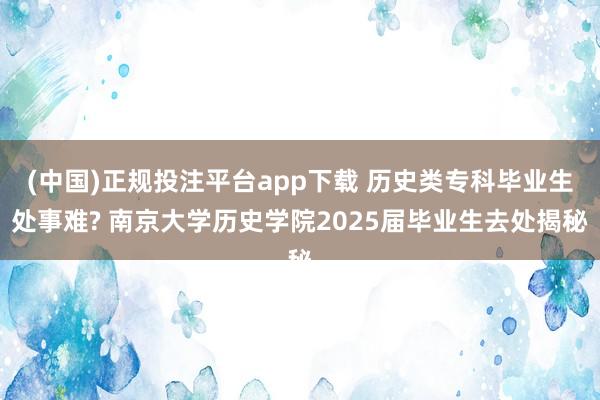 (中国)正规投注平台app下载 历史类专科毕业生处事难? 南京大学历史学院2025届毕业生去处揭秘