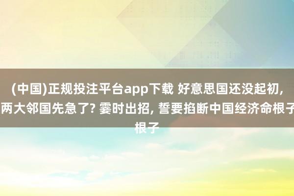 (中国)正规投注平台app下载 好意思国还没起初, 两大邻国先急了? 霎时出招, 誓要掐断中国经济命根子
