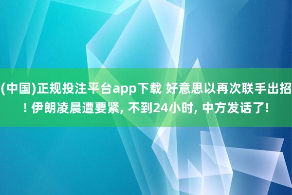 (中国)正规投注平台app下载 好意思以再次联手出招! 伊朗凌晨遭要紧， 不到24小时， 中方发话了!