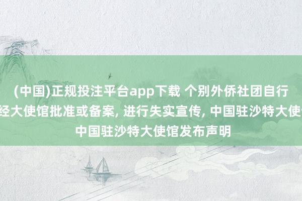 (中国)正规投注平台app下载 个别外侨社团自行建树, 宣称经大使馆批准或备案, 进行失实宣传, 中国驻沙特大使馆发布声明