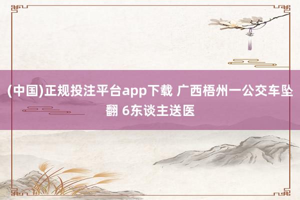 (中国)正规投注平台app下载 广西梧州一公交车坠翻 6东谈主送医