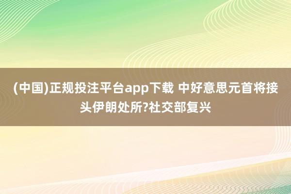 (中国)正规投注平台app下载 中好意思元首将接头伊朗处所?社交部复兴