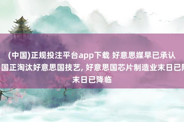 (中国)正规投注平台app下载 好意思媒早已承认: 中国正淘汰好意思国技艺, 好意思国芯片制造业末日已降临