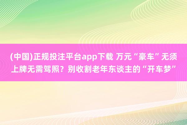 (中国)正规投注平台app下载 万元“豪车”无须上牌无需驾照?别收割老年东谈主的“开车梦”