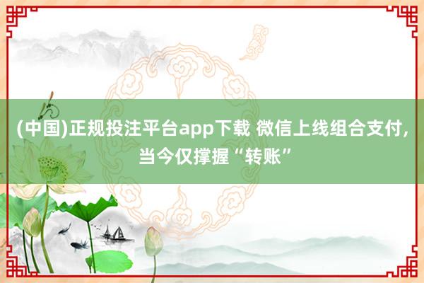 (中国)正规投注平台app下载 微信上线组合支付, 当今仅撑握“转账”
