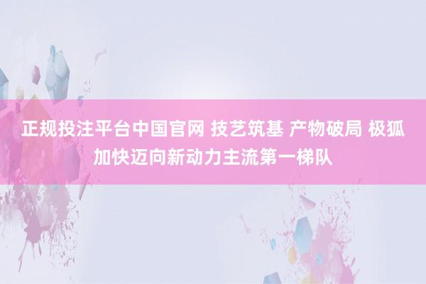 正规投注平台中国官网 技艺筑基 产物破局 极狐加快迈向新动力主流第一梯队