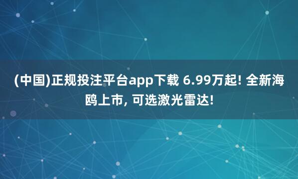 (中国)正规投注平台app下载 6.99万起! 全新海鸥上市, 可选激光雷达!