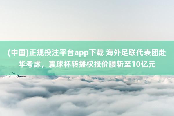 (中国)正规投注平台app下载 海外足联代表团赴华考虑,寰球杯转播权报价腰斩至10亿元