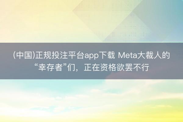 (中国)正规投注平台app下载 Meta大裁人的“幸存者”们,正在资格欲罢不行