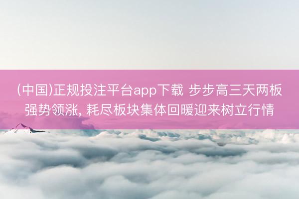 (中国)正规投注平台app下载 步步高三天两板强势领涨, 耗尽板块集体回暖迎来树立行情