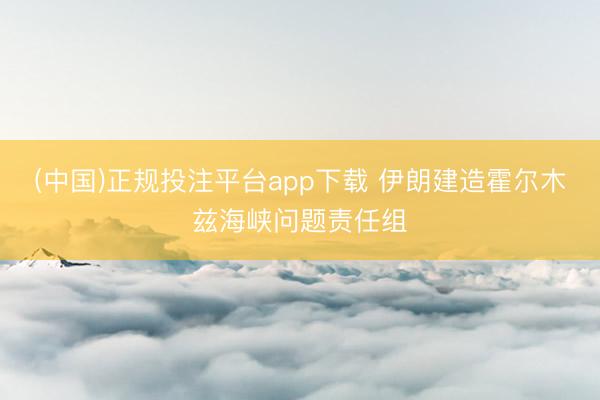 (中国)正规投注平台app下载 伊朗建造霍尔木兹海峡问题责任组
