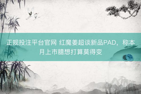 正规投注平台官网 红魔姜超谈新品PAD,称本月上市臆想打算莫得变