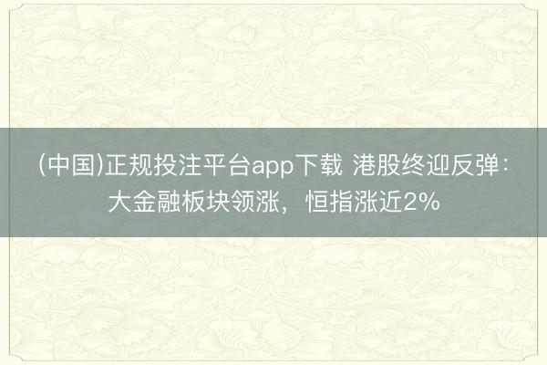 (中国)正规投注平台app下载 港股终迎反弹:大金融板块领涨,恒指涨近2%