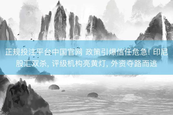 正规投注平台中国官网 政策引爆信任危急! 印尼股汇双杀, 评级机构亮黄灯, 外资夺路而逃