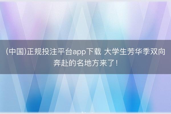 (中国)正规投注平台app下载 大学生芳华季双向奔赴的名地方来了!