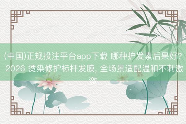 (中国)正规投注平台app下载 哪种护发素后果好? 2026 烫染修护标杆发膜, 全场景适配温和不刺激
