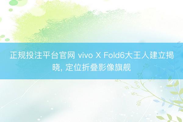 正规投注平台官网 vivo X Fold6大王人建立揭晓, 定位折叠影像旗舰