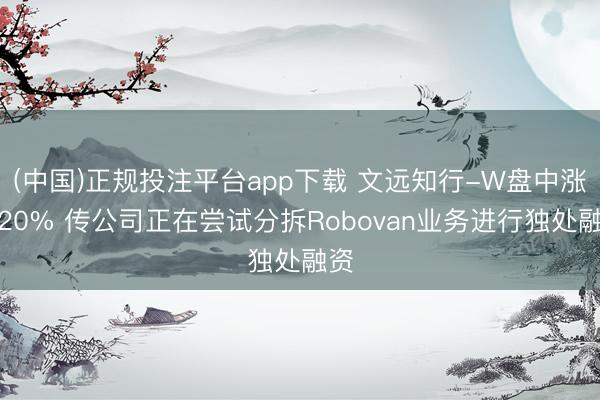 (中国)正规投注平台app下载 文远知行-W盘中涨超20% 传公司正在尝试分拆Robovan业务进行独处融资