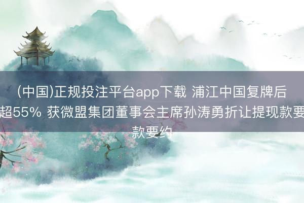 (中国)正规投注平台app下载 浦江中国复牌后涨超55% 获微盟集团董事会主席孙涛勇折让提现款要约