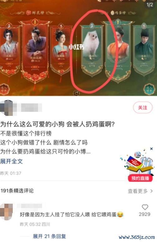 上线5天卖了100万套,这可能是连年来最上面的“女帝模拟器” 权利战役新高度